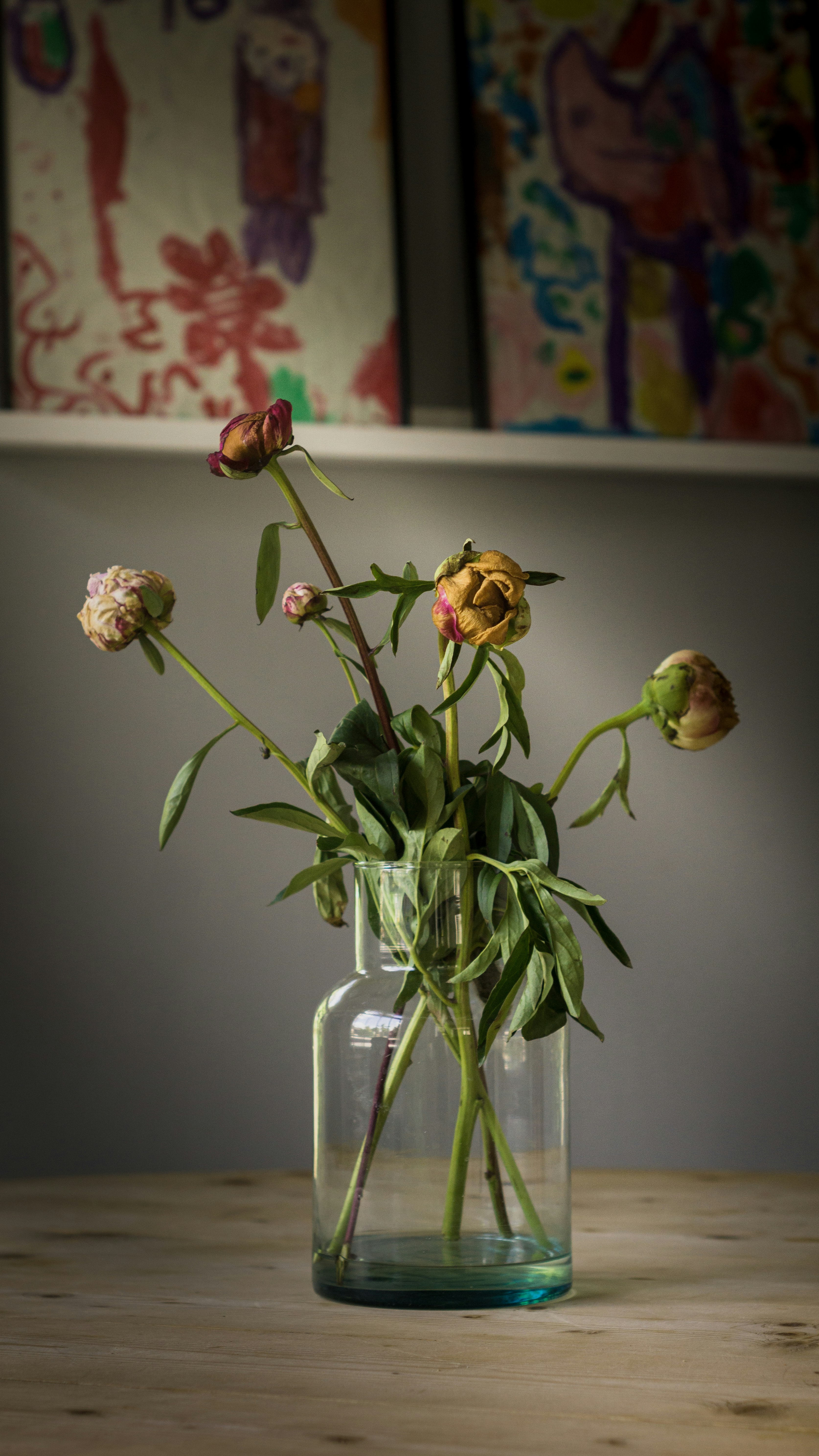 pink and white flowers in clear glass vase